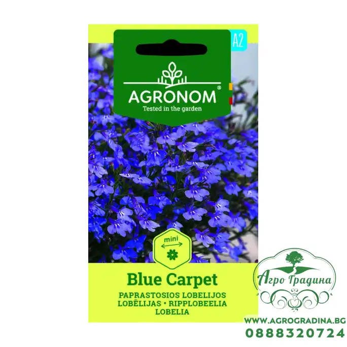 Лобелия Син килим Lobelia Blue carpet