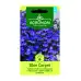Лобелия Син килим Lobelia Blue carpet – Саксийни и градински цветя