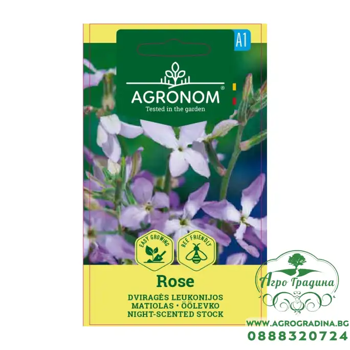 Матиола Matthiola bicornis (Sibth et Sm) DC Rose