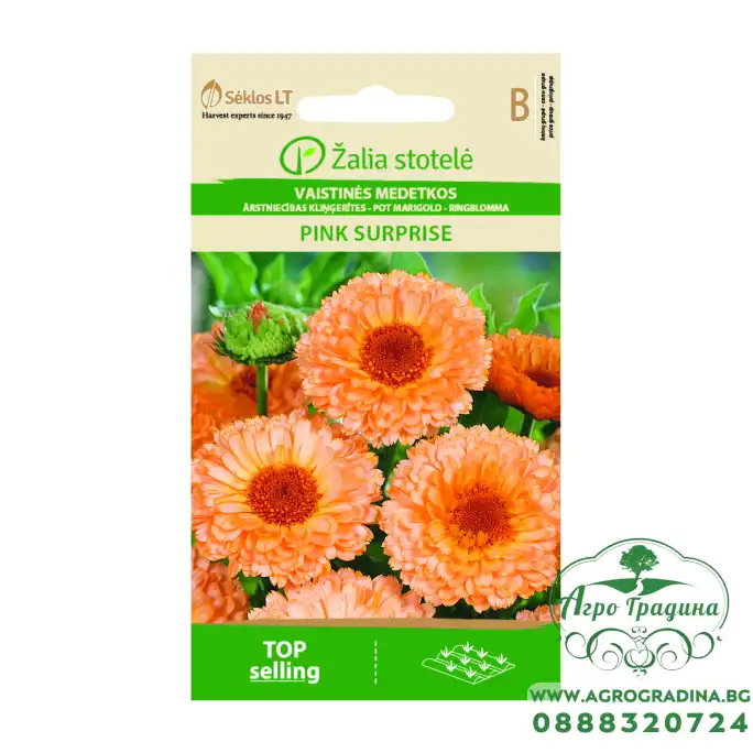 Медицински Невен Pink Surprise Calendula officinalis L. Медицински Невен Pink Surprise Calendula officinalis L.