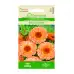 Медицински Невен Pink Surprise Calendula officinalis L.