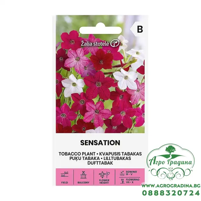 Никотиана (Тютюнево цвете) Микс Sensation Nicotiana alata Link et Otto