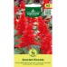 Салвия Скарлет Пиколо / Salvia splendens Sellow ex Schult Scarlet Piccolo