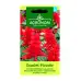 Салвия Скарлет Пиколо Salvia splendens Sellow ex Schult Scarlet Piccolo – Екзотични цветя