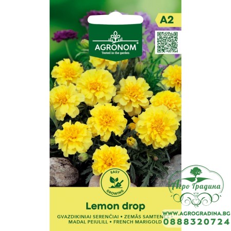 Тагетес Лимон / Tagetes Lemon Drop
