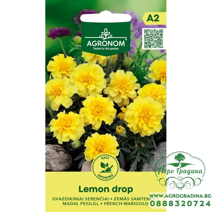 Тагетес Лимон Tagetes Lemon Drop