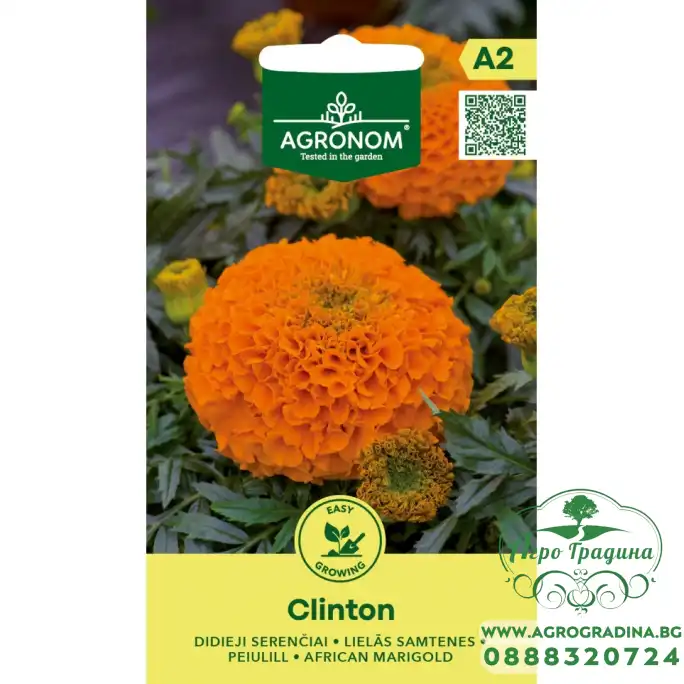 Тагетес Клинтон Tagetes Erecta Clinton