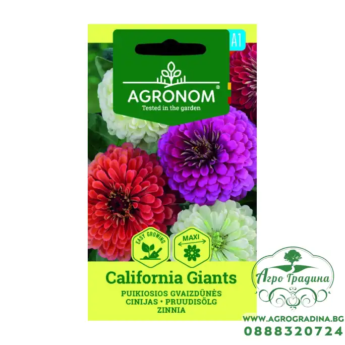 Циния Гигант Калифорнийки Микс Zinnia elegans dahlienflora Californiq Giants Циния Гигант Калифорнийки Микс Zinnia elegans dahlienflora Californiq Giants