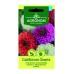 Циния Гигант Калифорнийки Микс Zinnia elegans dahlienflora Californiq Giants – Саксийни и градински цветя