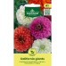 Циния Гигант Калифорнийки Микс Zinnia elegans dahlienflora Californiq Giants – Саксийни и градински цветя
