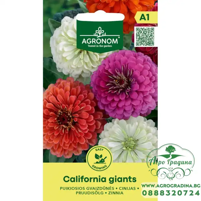 Циния Гигант Калифорнийки Микс Zinnia elegans dahlienflora Californiq Giants
