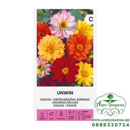 Далия Микс Унуин Unwin