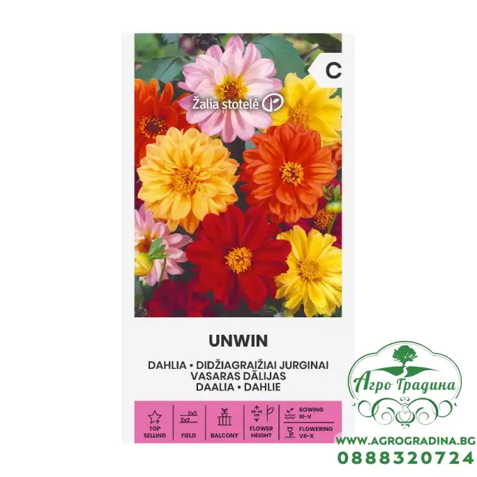 Далия Микс Унуин Unwin