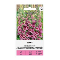Напръсник Лилав Foxy / Digitalis purpurea