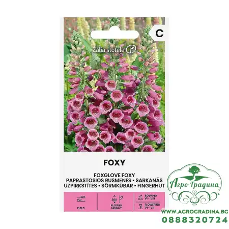 Напръсник Лилав Foxy Digitalis purpurea
