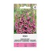 Напръсник Лилав Foxy Digitalis purpurea – Саксийни и градински цветя
