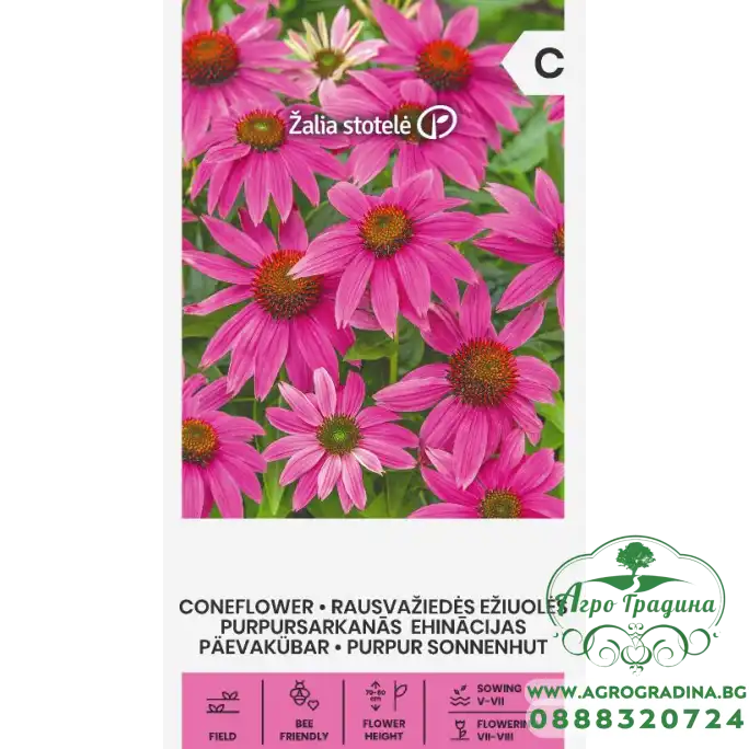 Ехинацея Лилава Echinacea purpurea (L.) Moench