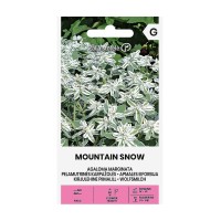 Еуфорбия (Перлена млечка) Mountain Snow