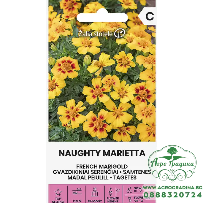 Тагетес Палава Мариета Tagetes patula Naughty Marietta