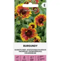 Гайлардия Бургунди Gaillardia aristata Burgundy