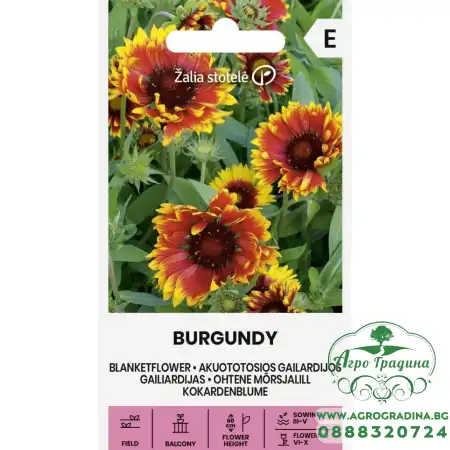 Гайлардия Бургунди Gaillardia aristata Burgundy