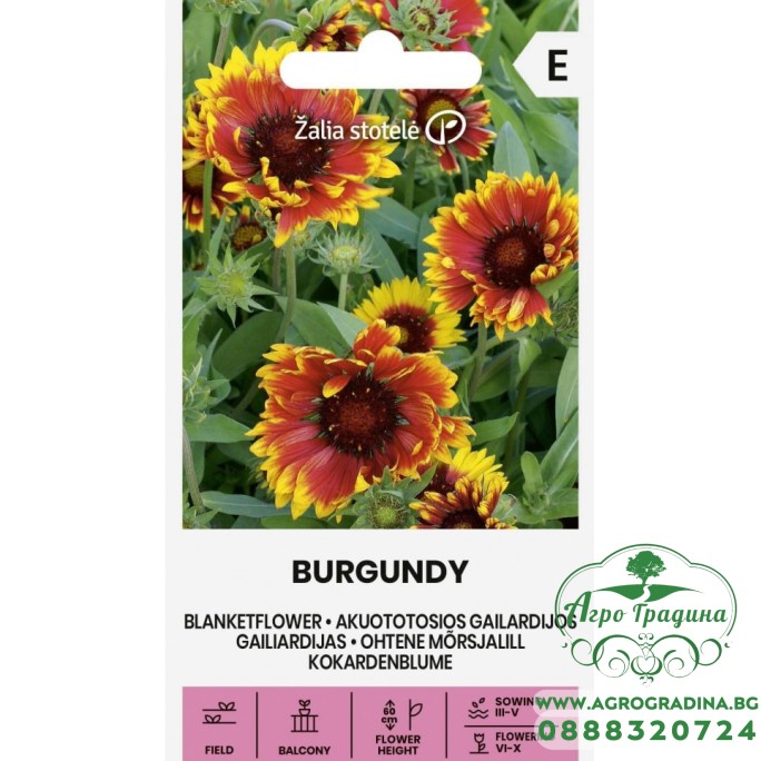 Гайлардия Бургунди / Gaillardia aristata Burgundy