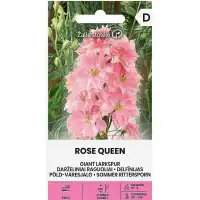 Делфиниум Гигант Розова кралица Giant Larkspur Rose queen