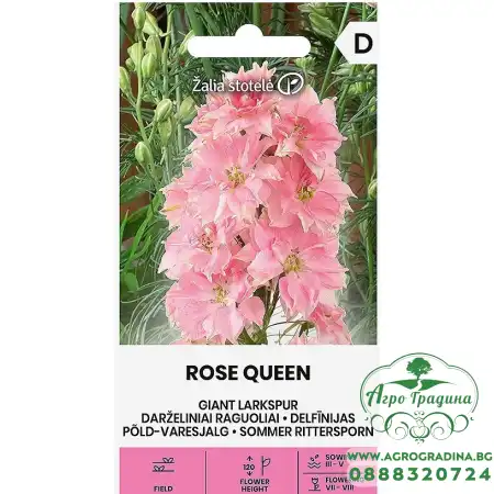 Делфиниум Гигант Розова кралица Giant Larkspur Rose queen