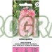 Делфиниум Гигант Чучулига Розова кралица / Larkspur Rose queen