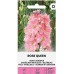 Делфиниум Гигант Розова кралица Giant Larkspur Rose queen – Саксийни и градински цветя