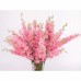 Делфиниум Гигант Розова кралица Giant Larkspur Rose queen – Саксийни и градински цветя