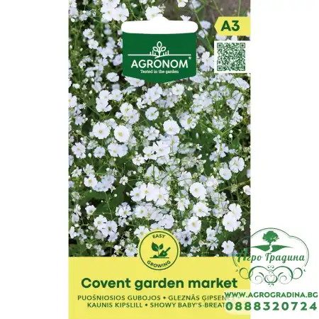 Гипсофила Covent Garden Market