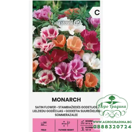 Годеция Монарх (Сатенено цвете) Godetia grandiflora Lindl.