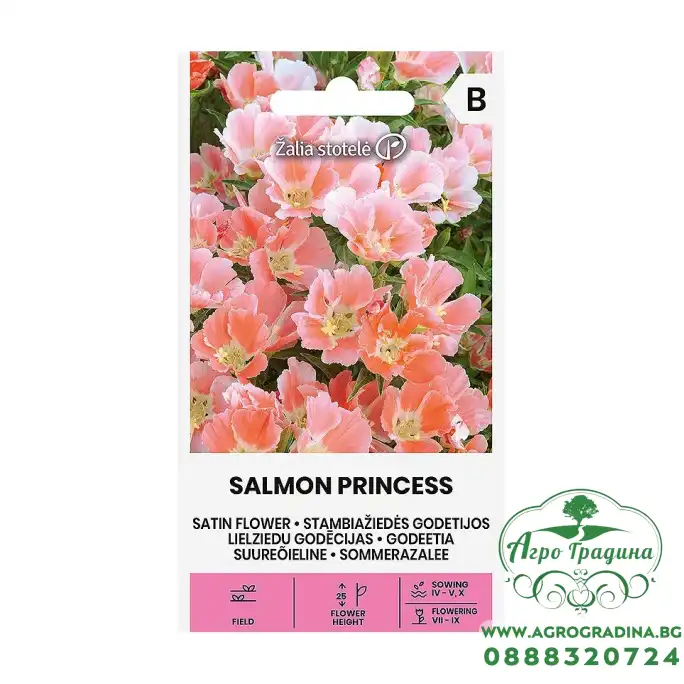 Годеция цвят сьомга / Godetia grandiflora Lindl