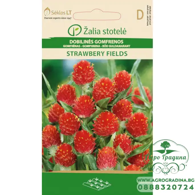 Гомфрена Ягодови полета Strawberry Fields Гомфрена Ягодови полета Strawberry Fields