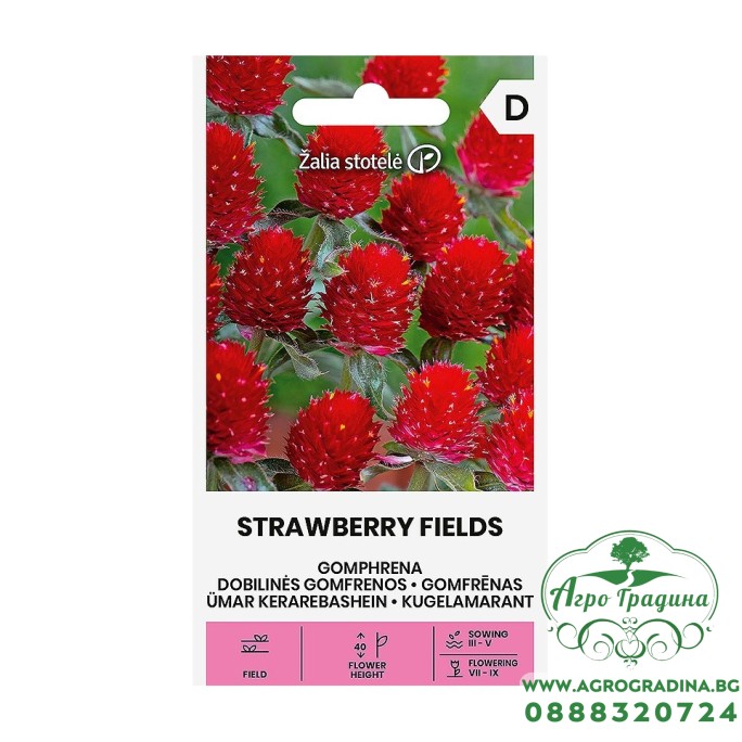 Гомфрена Ягодови полета Strawberry Fields – Екзотични цветя