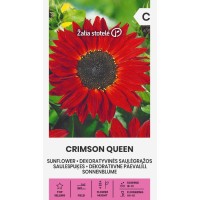 Хелиантус Червена Кралица Helianthus annuus Crimson Queen