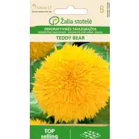 Хелиантус (Слънчоглед) Жълт Мече Helianthus annuus