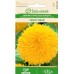 Хелиантус Теди Беър Helianthus annuus Teddy bear