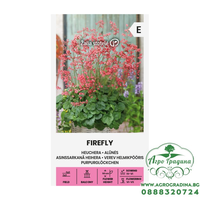 Хойхера Firefly / Heuchera sanguinea