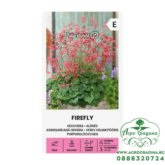 Хойхера Firefly Heuchera sanguinea