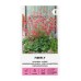 Хойхера Firefly Heuchera sanguinea – Саксийни и градински цветя
