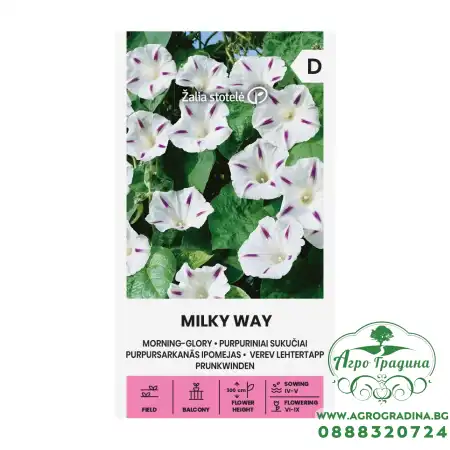 Ипомея (Грамофонче) Млечен път Ipomea Purpurea (L.) Roth Milky way