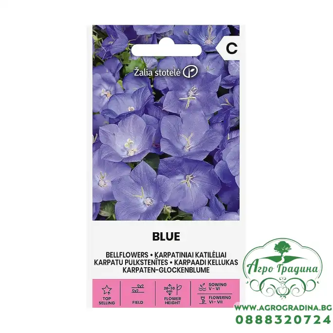 Кампанула Синя Campanula carpatica Jacq