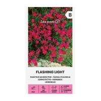 Карамфил Розов Flashing Light / Dianthus deltoides 