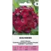 Карамфил Двоен Червен Dianthus barbatus Oeschberg
