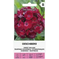 Карамфил Двоен Червен Dianthus barbatus Oeschberg