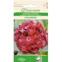 Карамфил Двоен Червен Oeschberg / Dianthus barbatus