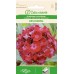 Карамфил Двоен Червен Oeschberg / Dianthus barbatus