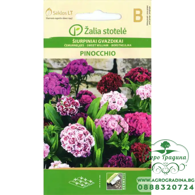 Карамфил Mикс Ponocchio Dianthus barbatus